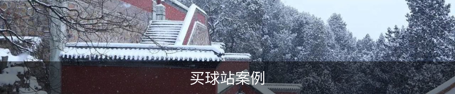 买球站案例